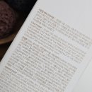 브이셀 | 재생 탄력 보습 다 잡은 셀브이 리셋크림 리얼후기