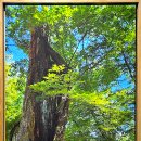 2025 한국환경사진 영등포지회 제6회 사진전 | 한국환경사진협회 영등포지회 - &lt;제6회 사진전 : 환경은 생명이다&gt; 관람 후기