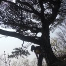 제주유리의성 이미지