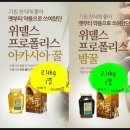 위델스프로폴리스