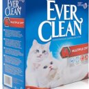 크린에버 이미지