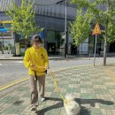 옐레드애견유치원&애견호텔동탄예당점