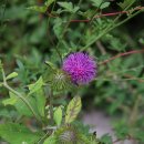 동자목장 이미지