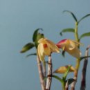 석곡농장 이미지