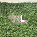 세종 바른 운동 | 세종 산전 산후 마사지 추천 | 자연속에 에스테틱 솔직 후기