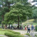 잣나무골 이미지