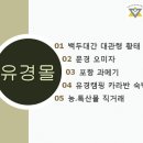 유경