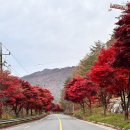 방곡도깨비마을 | 충북 단양 대가족 숙소 추천 방곡숲 펜션 서쪽집 내돈내산 후기