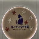 바스텟고양이병원 | [고양이 병원] 대전 바스텟 고양이 병원
