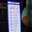 몽몽 꿈 별 | 2024 대전0시축제 리뷰 (10cm 공연, 꿀팁 모음)