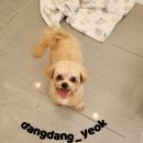 호두미용실