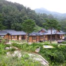 대야농장 이미지