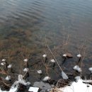 강가의 추억 이미지