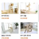 비피에프캣 | 고양이 캣타워 후기-BPF 캣타워 (내돈내산 후기)