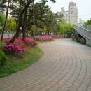 섬밭길 이미지