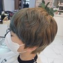 헤어제이브라운 네이버블로그
