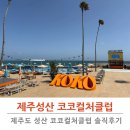 코코클럽 | 제주 성산 대형 오션뷰 카페 코코컬처클럽 솔직 후기