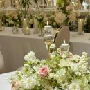 더트리니티(주) 이미지