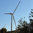 바람정원 이미지