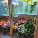 라비나플라워 이미지