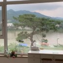 빠빠에피 이미지