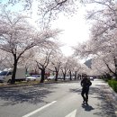 화랑촌 이미지