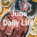 치킨플러스포천관인점 | 2025년 6월 일상