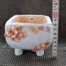 하모화분