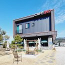 357 | 🏡 원주 아이와 가볼 만한 곳! 귀여운 동물들과 함께하는 카페357 방문후기 🐰