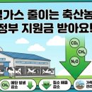 야호축산 네이버블로그
