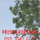 석성면사무소 이미지