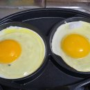 법인청년농업