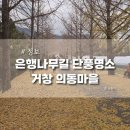 의동마을 | 거창 의동마을 은행나무길, 가을 단풍 명소 추천