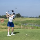 하와이스크린골프 이미지