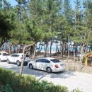 장사솔밭펜션 이미지