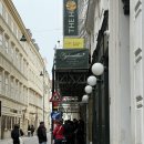 민트1호점 | 오스트리아 비엔나 맛집 추천 피그뮐러1호점 예약후기