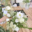 사파동324 이미지