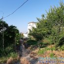 율촌면사무소 이미지