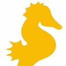 씨홀스디자인 이미지
