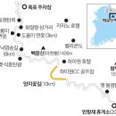 들꽃생명 동아일보