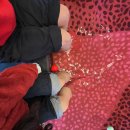 논산시재활용센터 | ‘딸기 족욕’ ‘딸기 비빔밥’에 화들짝...나흘간 53만 명 방문한 ‘논산 딸기 축제’