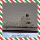 세븐일레븐일산마두우방점 | 일산 아파트 베란다 천장 균열 및 부식으로 시멘트 미장 보수