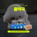 홍약국 이미지