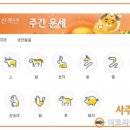 사주닷컴