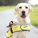 대전맹아학교 이미지