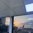 청사정화장실 | 제주 당일치기 여행 코스 ! 이대로만 가보세요 ✈️🩵