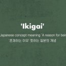 이키가이 이미지