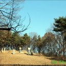 정지운선생묘 이미지