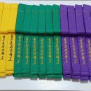 용인대독수리태권도 이미지