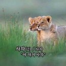 이오시스 이미지